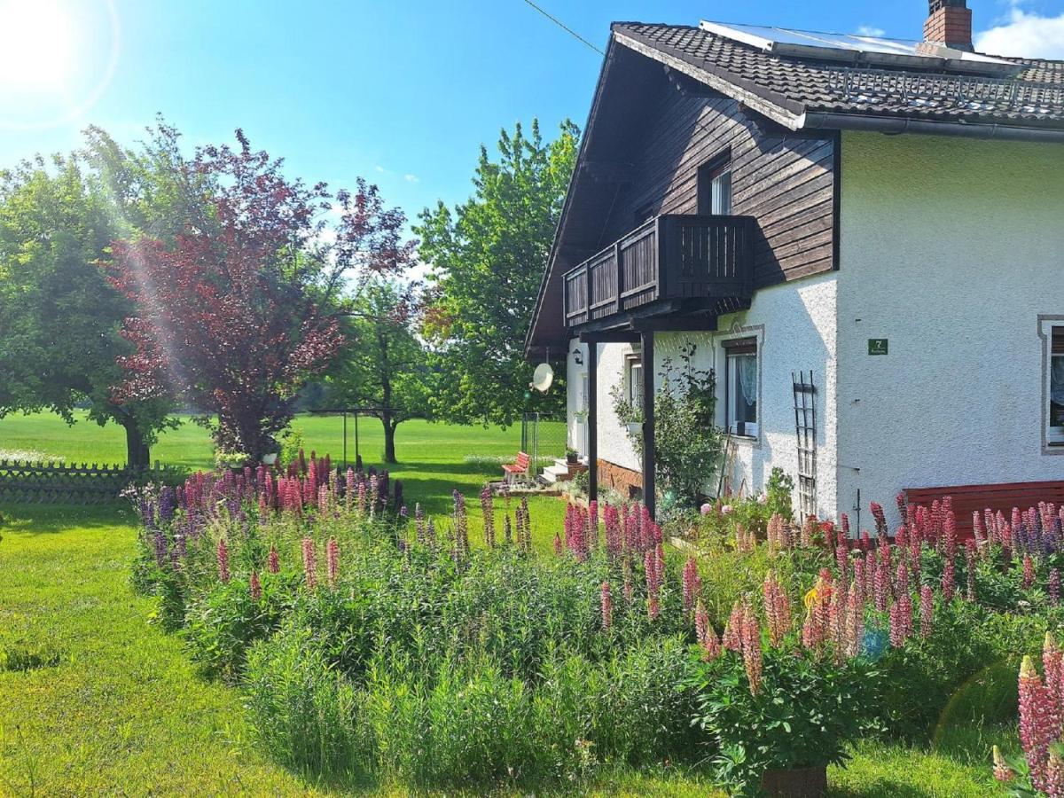 Pension Schneider Frauenau Exterior foto