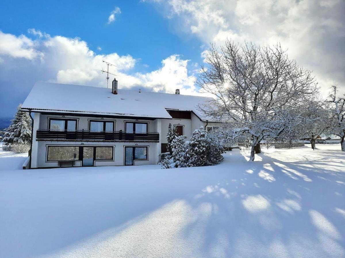 Pension Schneider Frauenau Exterior foto